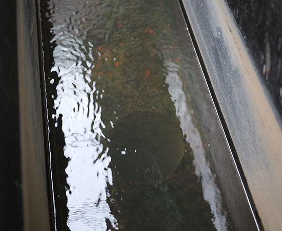 氣浮機除磷效果好嗎？